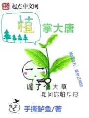 植掌大唐封面