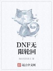 DNF无限轮回封面